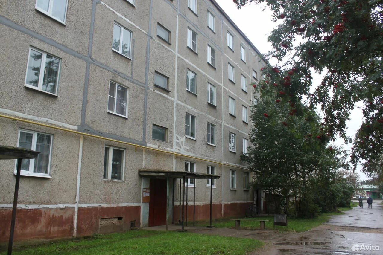 Кадуй. Кадуй молодежная 3. Авито кадуй вологодская область недвижимость. Авито кадуй квартиру. Авито кадуй квартиру.