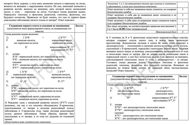 Содержат псевдоаутосомные участки