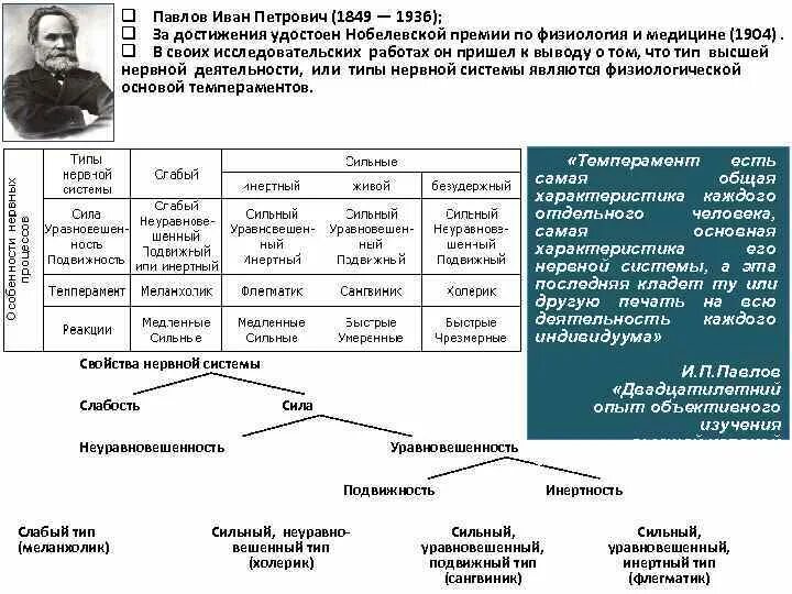 Открытия и п павлова. Открытия Павлова таблица. Научные открытия Павлова.