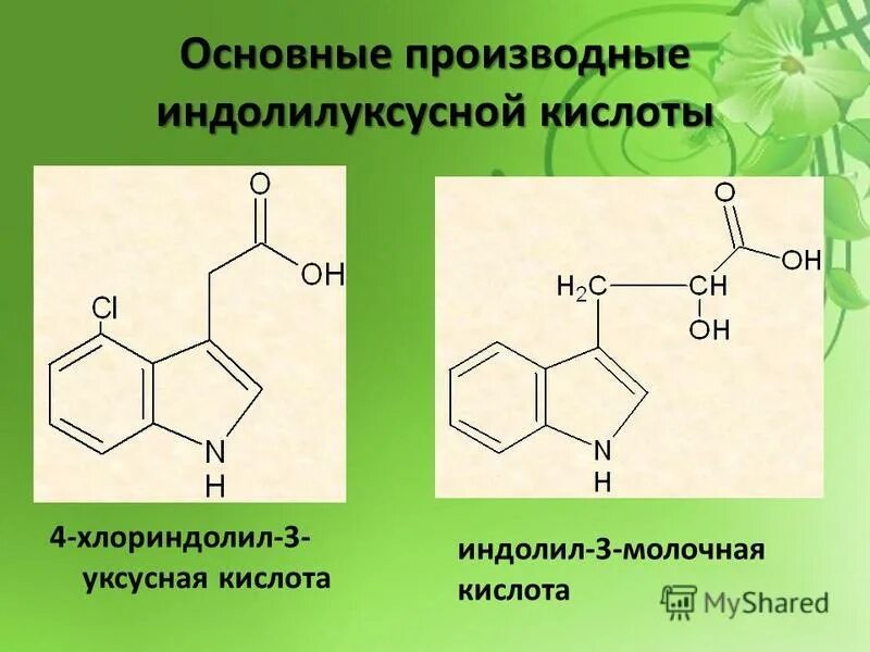 химическая природа ауксинов. индолил-3-масляная кислота формула. индол стелла. индолил сірке қышқылы деп танылатын фитогормон. индолилуксусная кислота формула.