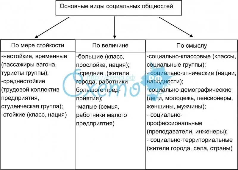 Социальная общность. Перечислите основные социальные общности таблица. Основные социальные общности таблица. Виды социальных общностей. Виды (типы) социальных общностей.