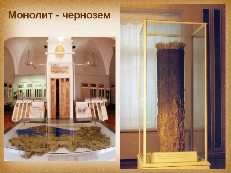 Растение на з. Эталон чернозема воронежская область. Памятник русскому чернозему в панино. Эталон чернозема в париже. Эталон чернозема.