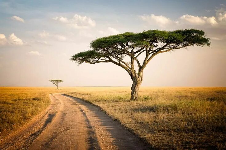 Serene as darkness looms African sunset, African skies, Sunset photos