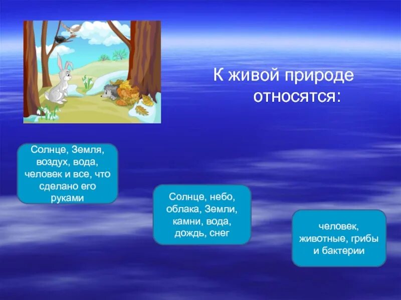 К какой природе можно отнести почву 3 класс ответы. Среды жизни организмов. К какой природе можно отнести почву 3 класс. Состав почвы. Что такое почва кратко.