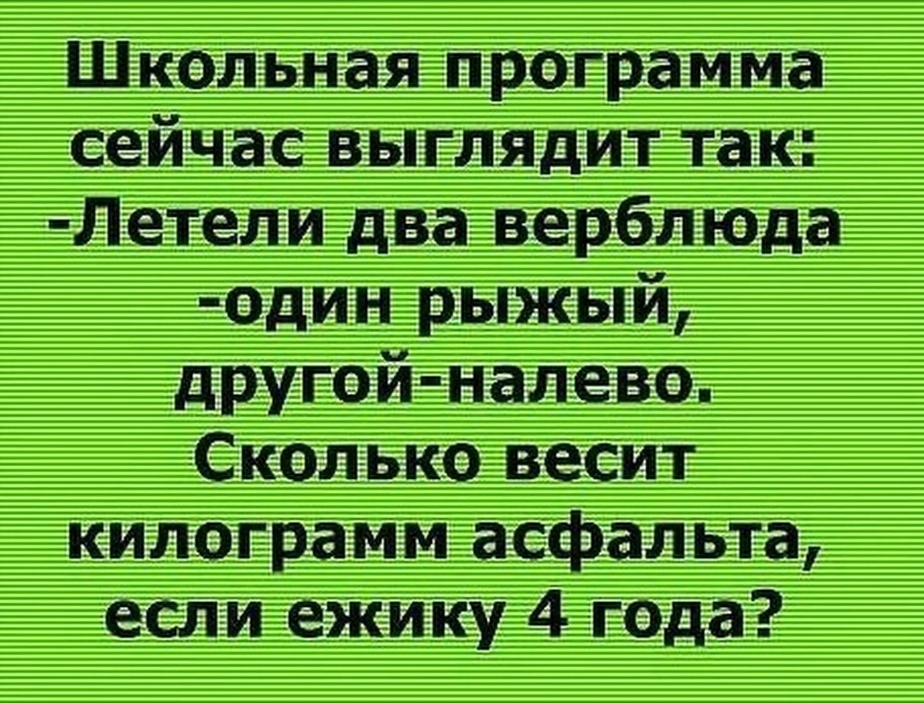 Школьные годы высказывания. Смешные цитаты про школу. Смешные цитаты проишколу. Смешные шутки про школу. Смешные высказывания про школу.