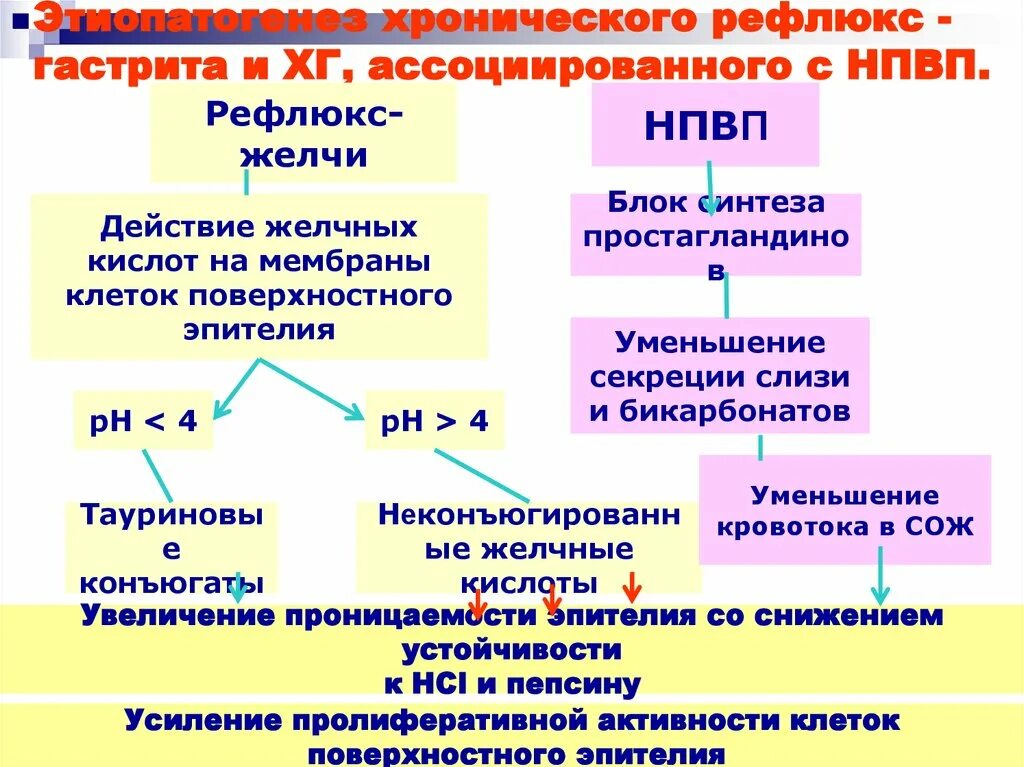 Дуоденогастральный рефлюкс желудка лечение. Патогенез гастрита. Механизм развития хронического гастрита. Хронический гастрит этиопатогенез. Патогенез хронического гастрита.