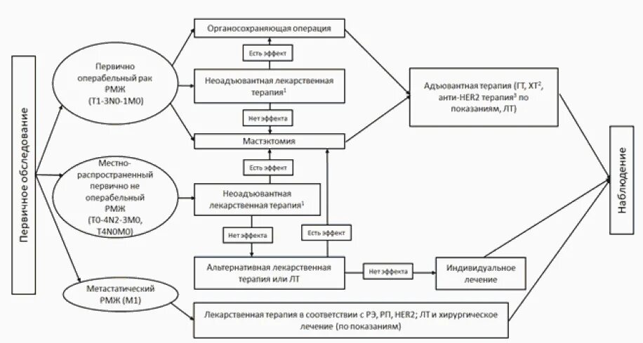 Алгоритм лечебно-диагностических мероприятий при РМЖ. Схема лечения при онкологии молочной железы. Схема лечения РМЖ. Онкология лечение схема. Рекомендации по лечению рака