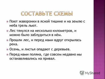 Лес тянулся на несколько километров и можно