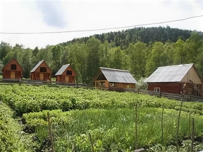 Дневник республика алтай. Агария база отдыха горный Алтай. Турбаза Агария горный Алтай. База отдыха Аюла Алтай горный. Моя Аюла база отдыха горный Алтай.