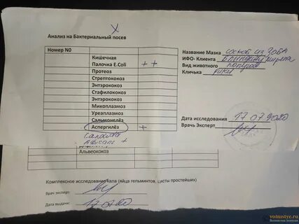 Грипп анализы сдать