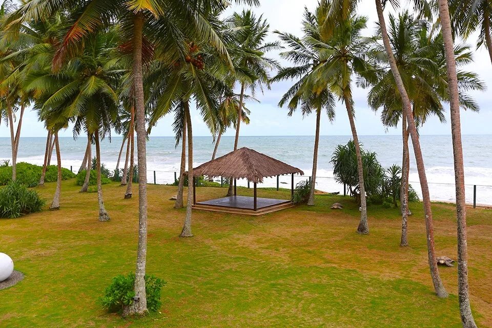 Шератон шри. Шератон Косгода Шри Ланка. Шри Ланка Sheraton Kosgoda Turtle Beach. Sheraton Kosgoda 5 Шри Ланка. Sheraton Kosgoda Turtle Beach Resort 5 Шри-Ланка.