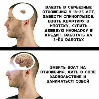 Заведи год