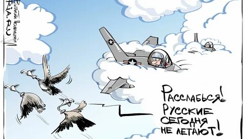 Спас жизнь летчику спрятав под волком название