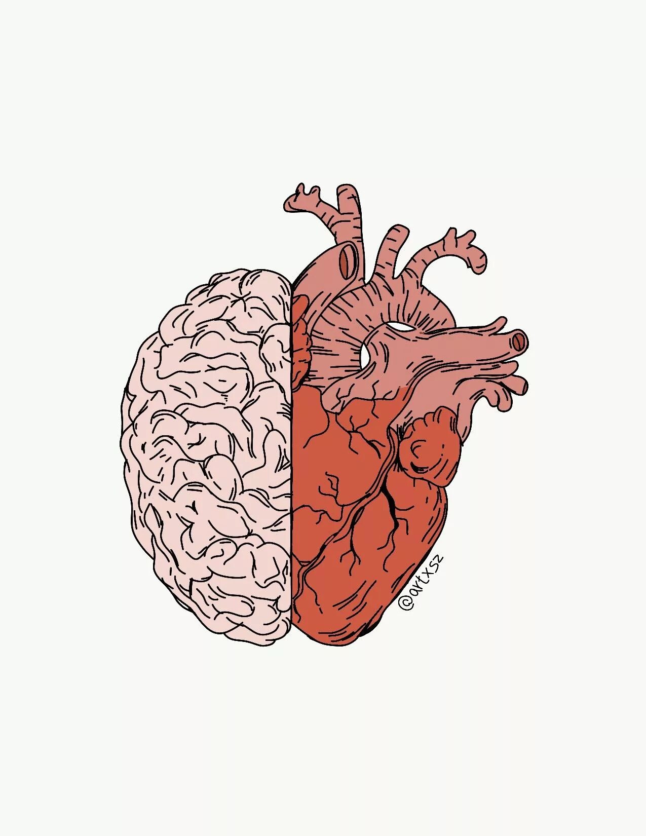 Мозг и сердце. Мозг нарисованный. Мозг человека арт. Мозг и сердце вместе.