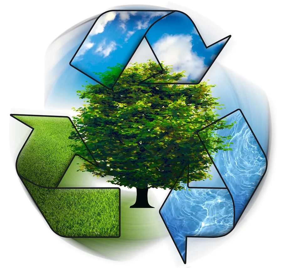 Healthy environment