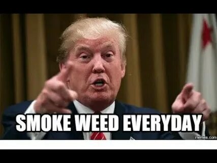 Everyday meme