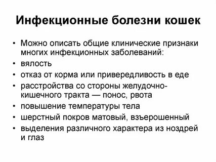 Лечение кошачьей болезни