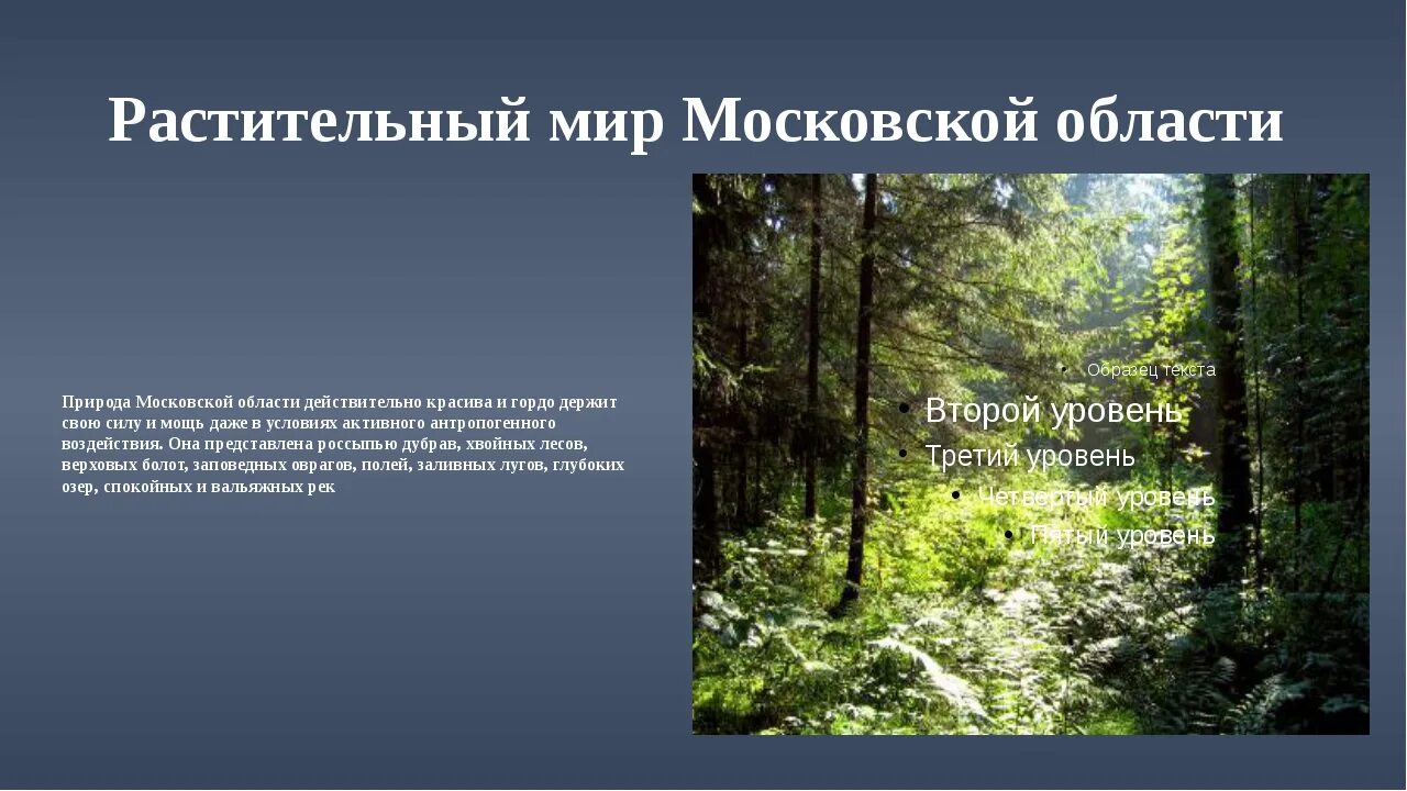 Сообщение о природных сообществах родного края. Растительный мир Подмосковья. Разнообразие природы. Разнообразие природы Московской области. Природа Подмосковья доклад.