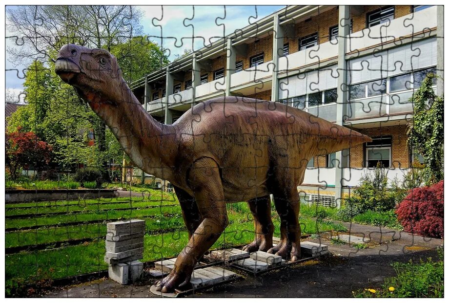 Фото dino. Динопарк башкирия. Парк динозавров в крылатском. Dino park анталия. Дино - динозавры.
