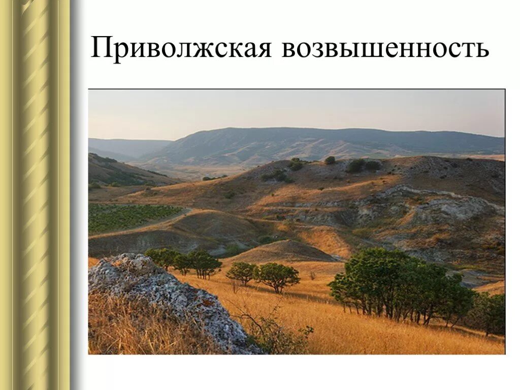 Поволжская возвышенность. Приволжская возвышенность. Приволжской возвышенности почвы. Приволжская возвышенность презентация.