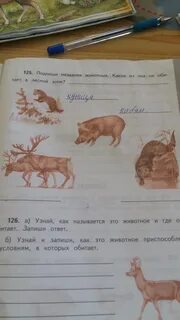 Определи животных подпишите названия животных