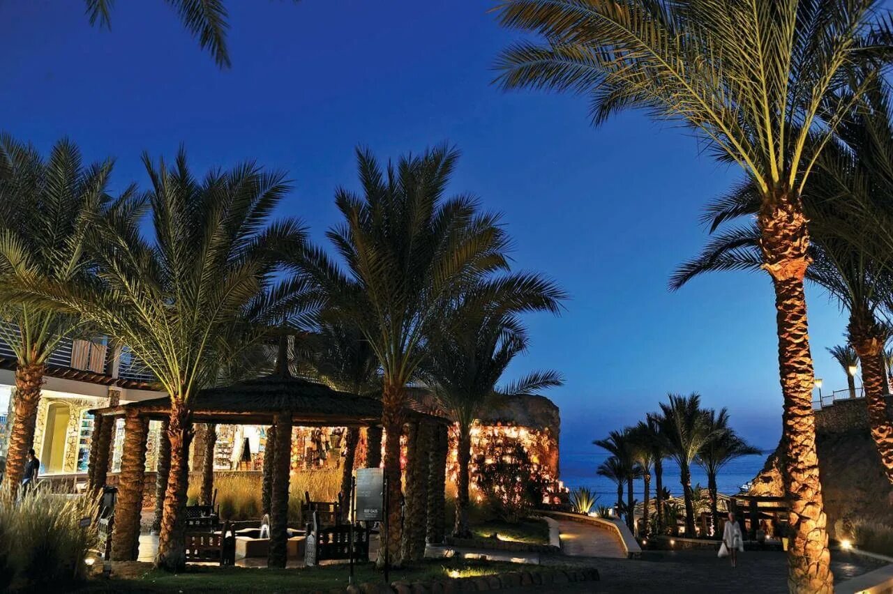 Риф оазис 5. Оазис бич резорт шарм-эль-шейх. отель reef oasis beach resort 5. риф оазис египет шарм-эль-шейх. отель reef oasis beach resort 5 египет шарм-эль-шейх.