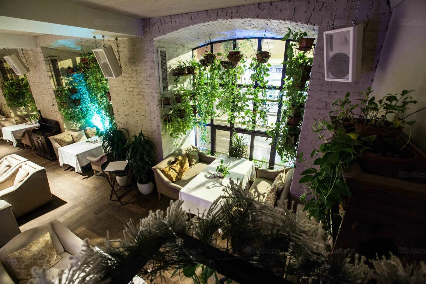 Restaurant The Sad в Moscowе - Официальный сайт Restoran.ru