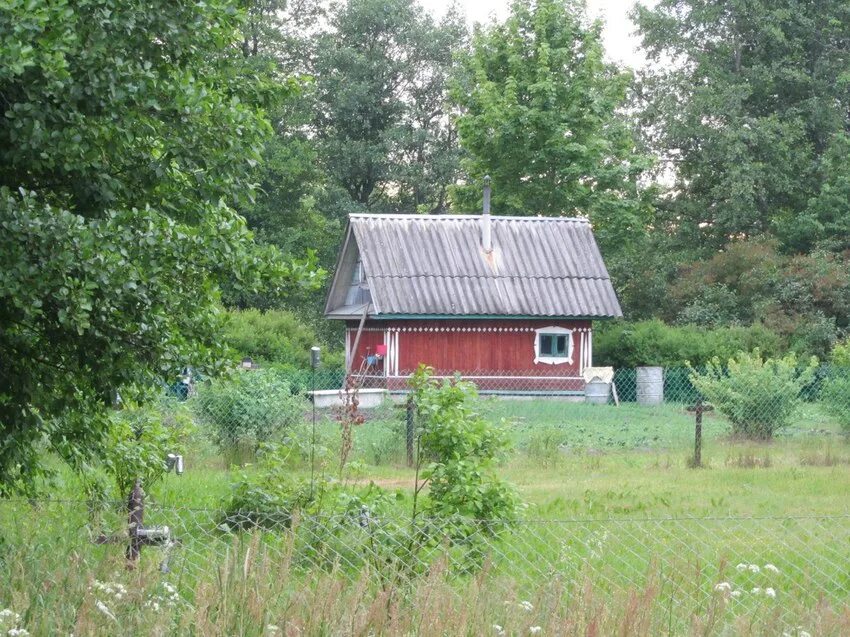 Кингисеппский р н. Кингисеппский р н