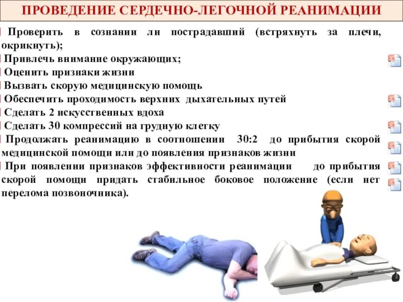Лежит скора