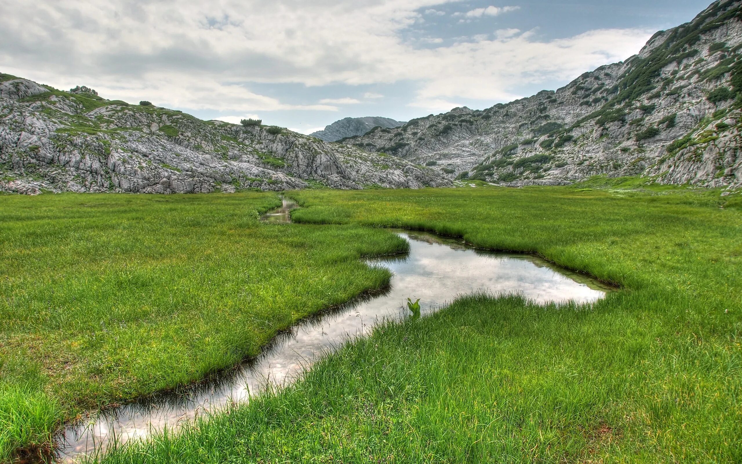 Landscape landscape a go go