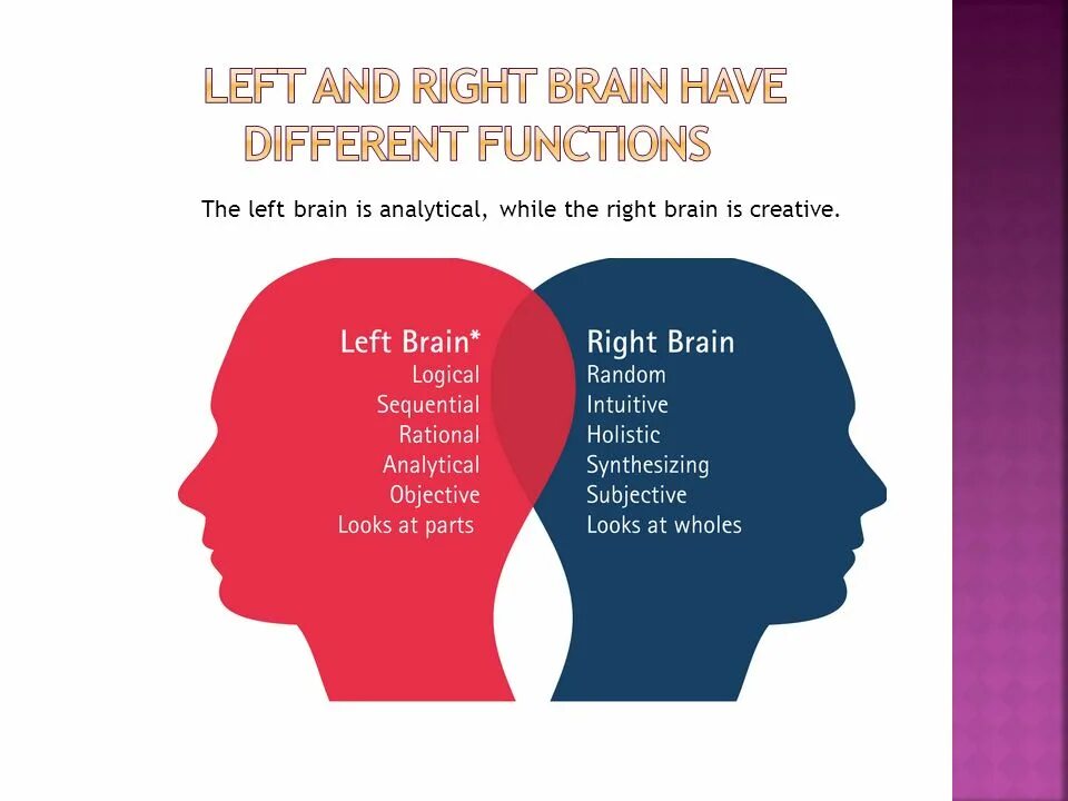 Leave the brain. Emotion Brain are.