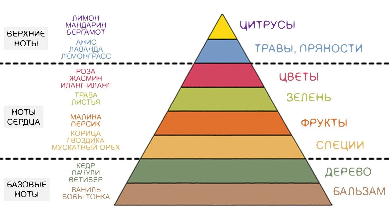 Ольфакторная пирамида эфирных масел. Верхние средние базовые Ноты. Ольфакторная пирамида аромата. Верхние Ноты пирамида.
