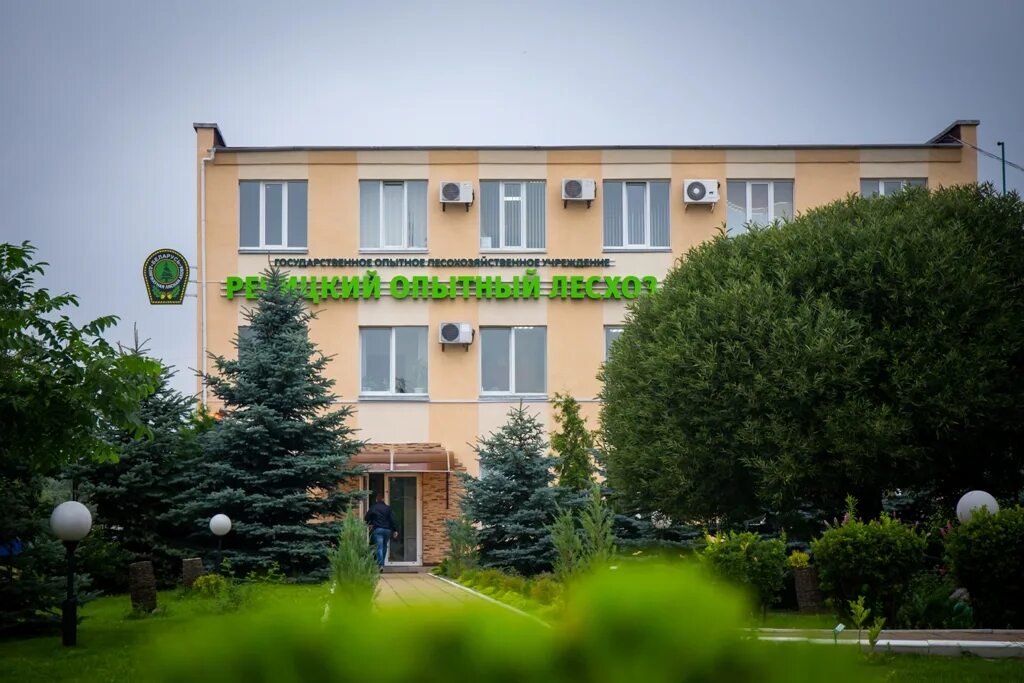 пескополье агроусадьба. метро печатники парк мангальная зона. ялтинское лесничество домик лесника. эмблема речицкого. суоярвского лесхоза эмблема.