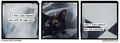 Softer world