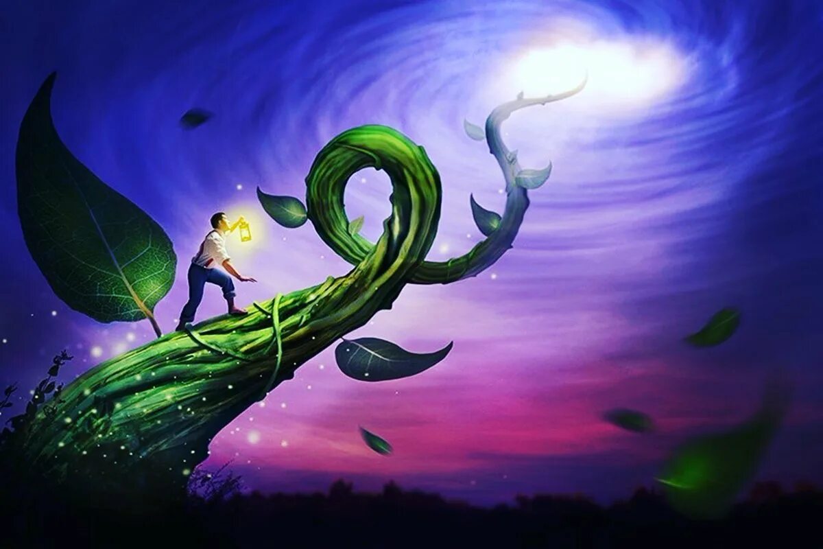 Энди бобовый стебель. Британские сказки. Джек и бобовое дерево сказка. Джек и бобовый стебель английская народная сказка. Скотт густафсон иллюстрации питер пэн.