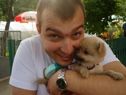 Шевченко минск