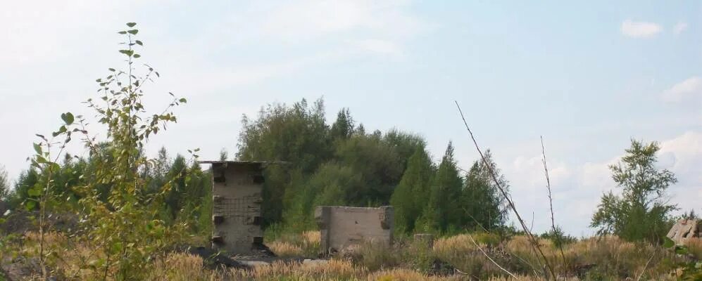 Деревня сечено. Село сеченово нижегородской области. Деревня конокса. Сеченово нижегородская область. Поселок русская деревня.