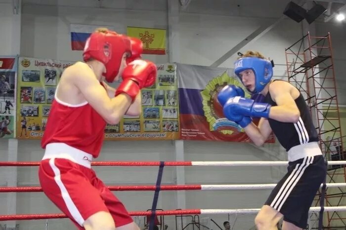 Бокс чебоксары. Динамо бокс чебоксары. Бокс цивильск. Бокс 2021 цивильск. Александр еграев бокс чувашия.