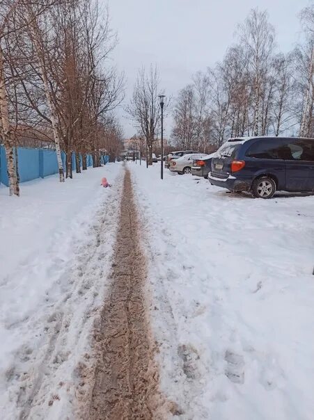 Погода в подрезково на сегодня