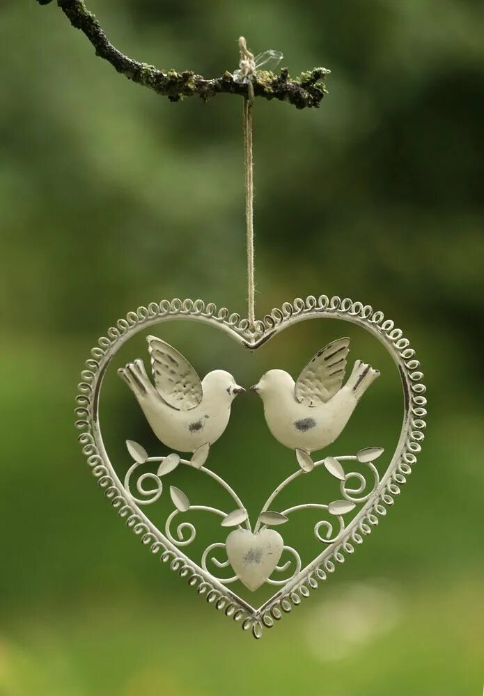 I love birds. Сердце птиц. Птица любви. Сердечки на свадьбу. Влюбленные птицы.