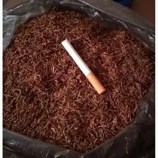 Нарезка табака для сигарет