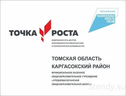 Точка роста рабочие программы