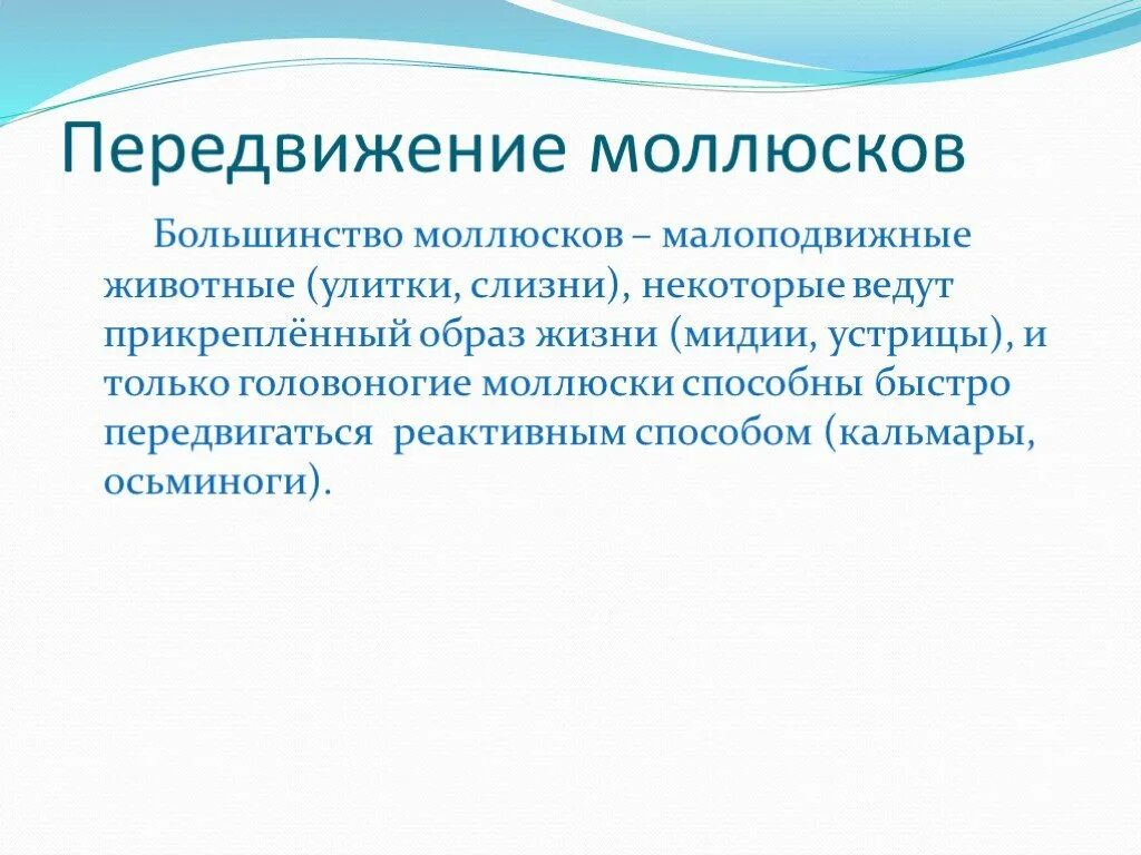 Способы передвижения головоногих. Способы передвижения моллюсков. мидия перемещение. как передвигаются мидии. большинство моллюсков могут передвигаться.