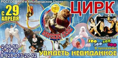 Кисловодск цирк расписание на сегодня
