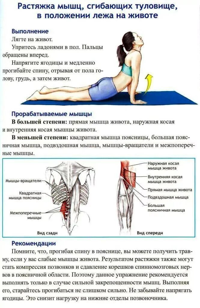 Растяжение мышц живота симптомы. Растяжка мышц живота. растянуть мышцы поясницы. упражнения на растяжение мышц поясницы. упражнения для растяжки мышц поясницы.