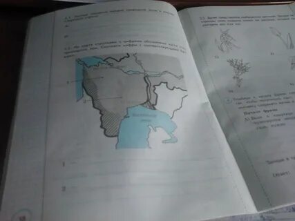 Для этой природной зоны характерны