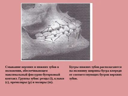 Нижний максимальный