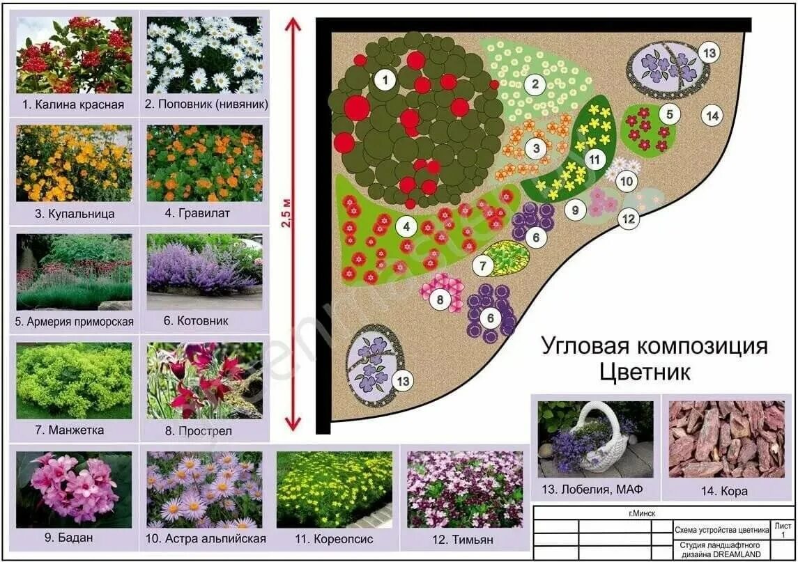 Стандартный размер цветника. Миксбордеры схемы посадок многолетники. Миксбордеры в ландшафтном дизайне схемы. Схема миксбордера непрерывного цветения. Миксбордер непрерывного цветения многолетников схема.