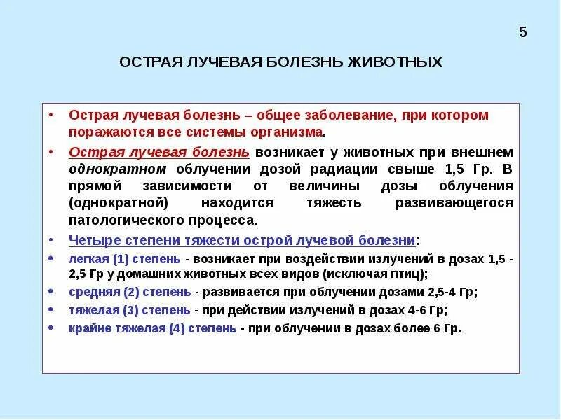 Лучевую болезнь и другие заболевания. Острая лучевая болезнь у животных. степени острой лучевой болезни. тяжелая степень лучевой болезни. легкая степень острой лучевой болезни.