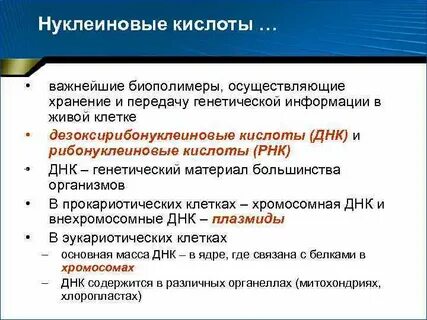 Роль нуклеиновых кислот в передаче наследственной информации
